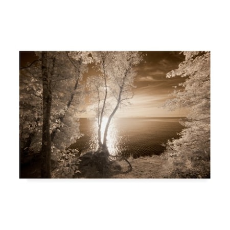 Monte Nagler 'Trees Framing Lake' Canvas Art,12x19